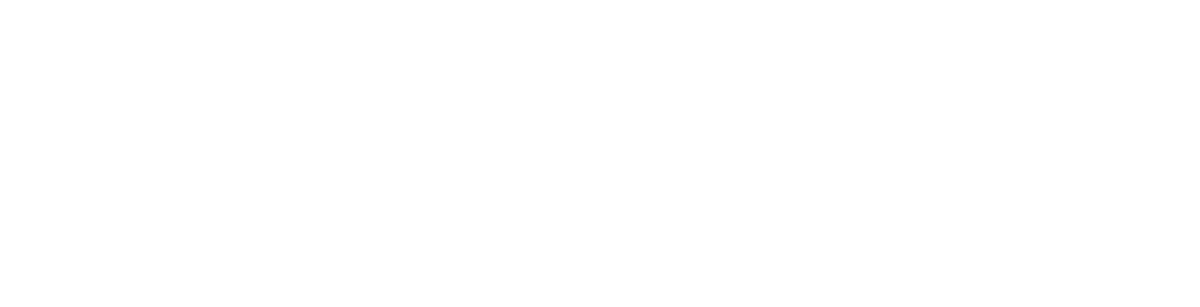 Jbay Jellyfish
